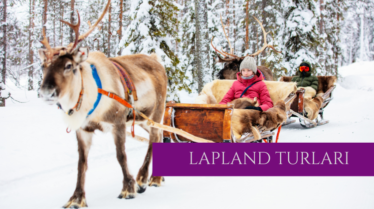 LAPLAND TURLARI